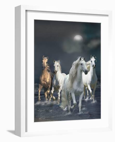Dream Horses 020-Bob Langrish-Framed Photographic Print