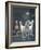 Dream Horses 020-Bob Langrish-Framed Photographic Print