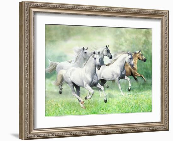 Dream Horses 028-Bob Langrish-Framed Photographic Print