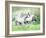 Dream Horses 028-Bob Langrish-Framed Photographic Print