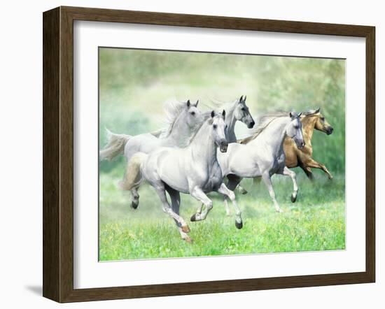 Dream Horses 028-Bob Langrish-Framed Photographic Print