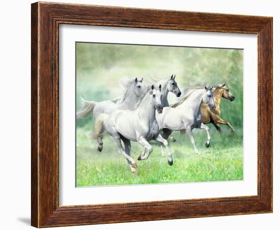 Dream Horses 028-Bob Langrish-Framed Photographic Print