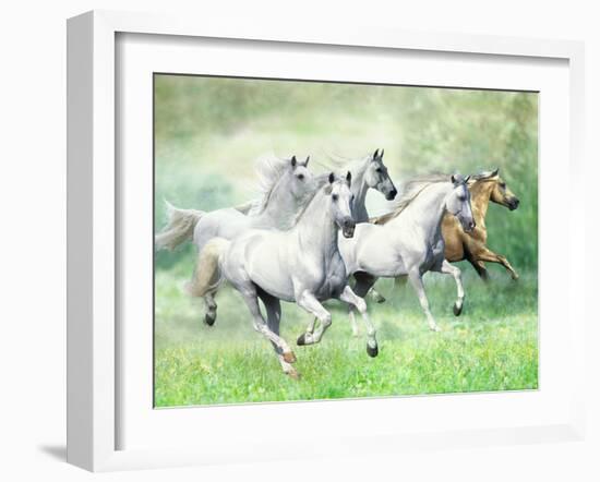 Dream Horses 028-Bob Langrish-Framed Photographic Print