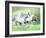 Dream Horses 028-Bob Langrish-Framed Photographic Print