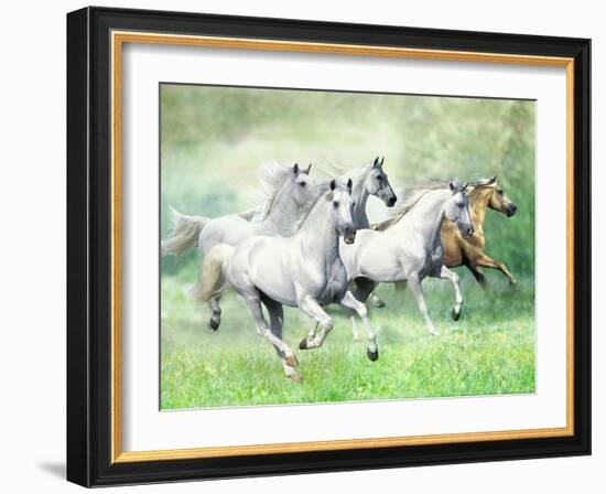 Dream Horses 028-Bob Langrish-Framed Photographic Print