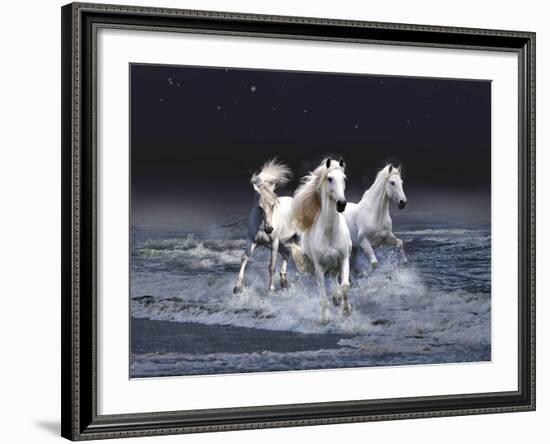 Dream Horses 029-Bob Langrish-Framed Photographic Print