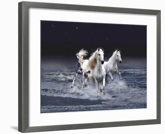 Dream Horses 029-Bob Langrish-Framed Photographic Print