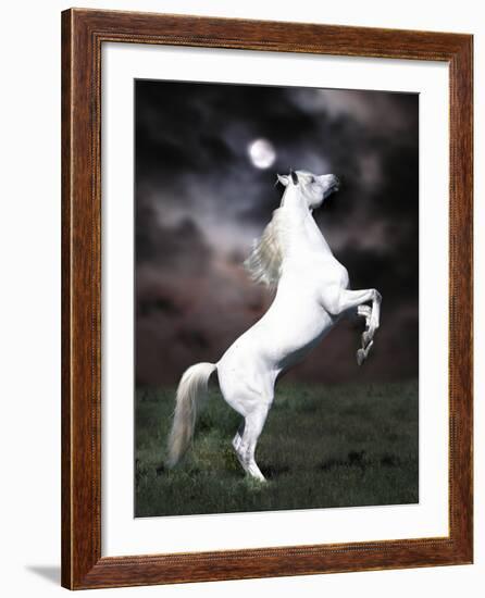 Dream Horses 032-Bob Langrish-Framed Photographic Print