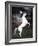 Dream Horses 032-Bob Langrish-Framed Photographic Print