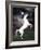 Dream Horses 032-Bob Langrish-Framed Photographic Print