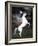 Dream Horses 032-Bob Langrish-Framed Photographic Print