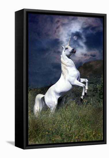 Dream Horses 045-Bob Langrish-Framed Premier Image Canvas