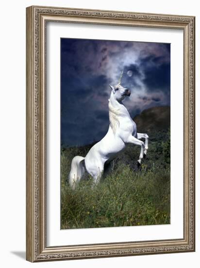 Dream Horses 045-Bob Langrish-Framed Photographic Print