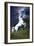 Dream Horses 045-Bob Langrish-Framed Photographic Print