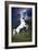 Dream Horses 045-Bob Langrish-Framed Photographic Print