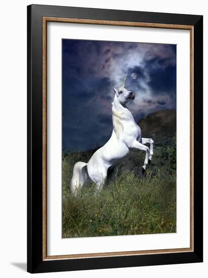 Dream Horses 045-Bob Langrish-Framed Photographic Print