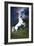 Dream Horses 045-Bob Langrish-Framed Photographic Print