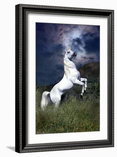 Dream Horses 045-Bob Langrish-Framed Photographic Print