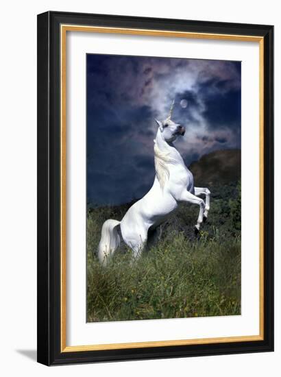 Dream Horses 045-Bob Langrish-Framed Photographic Print