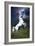 Dream Horses 045-Bob Langrish-Framed Premium Photographic Print