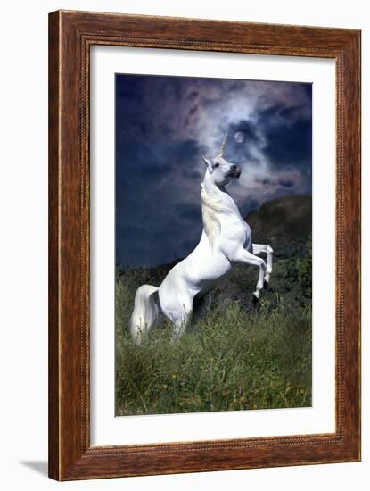 Dream Horses 045-Bob Langrish-Framed Premium Photographic Print