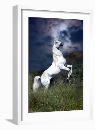 Dream Horses 045-Bob Langrish-Framed Premium Photographic Print