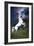 Dream Horses 045-Bob Langrish-Framed Premium Photographic Print