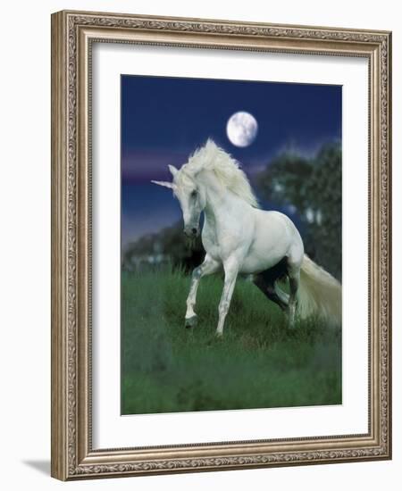 Dream Horses 047-Bob Langrish-Framed Photographic Print