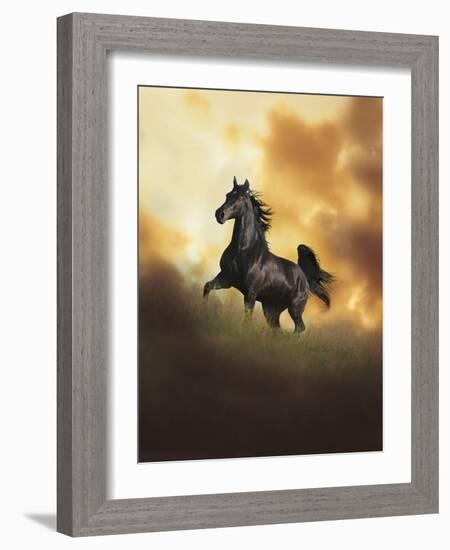 Dream Horses 049-Bob Langrish-Framed Photographic Print