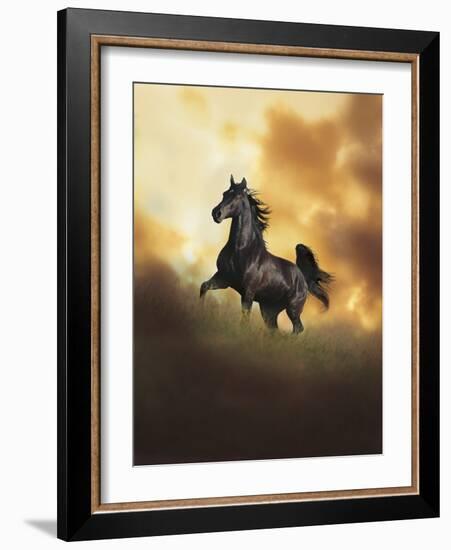 Dream Horses 049-Bob Langrish-Framed Photographic Print