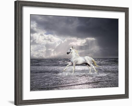 Dream Horses 050-Bob Langrish-Framed Photographic Print