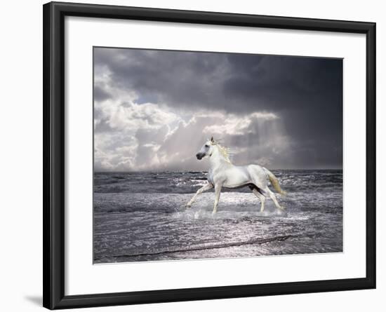 Dream Horses 050-Bob Langrish-Framed Photographic Print