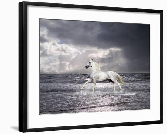 Dream Horses 050-Bob Langrish-Framed Photographic Print