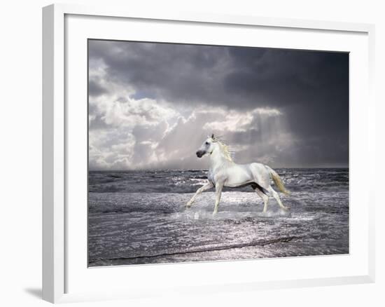 Dream Horses 050-Bob Langrish-Framed Photographic Print