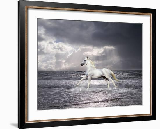 Dream Horses 050-Bob Langrish-Framed Photographic Print