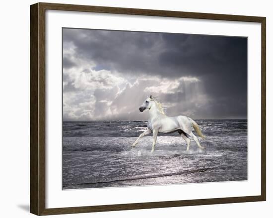 Dream Horses 050-Bob Langrish-Framed Photographic Print