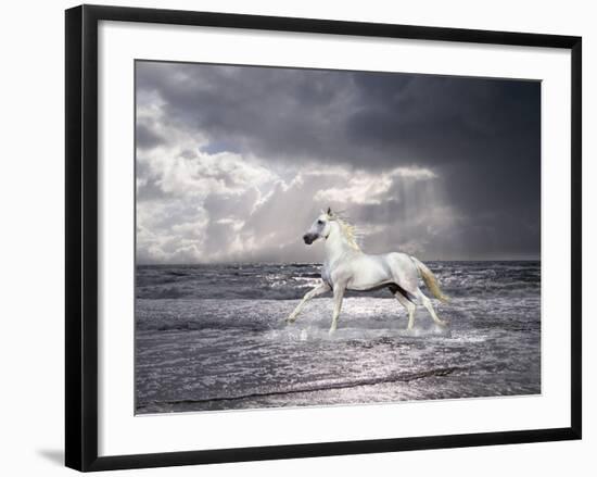 Dream Horses 050-Bob Langrish-Framed Photographic Print