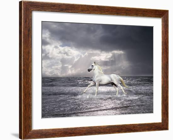 Dream Horses 050-Bob Langrish-Framed Photographic Print