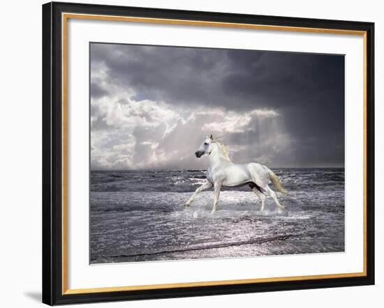 Dream Horses 050-Bob Langrish-Framed Photographic Print