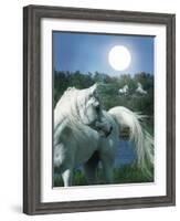 Dream Horses 066-Bob Langrish-Framed Photographic Print