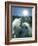 Dream Horses 066-Bob Langrish-Framed Photographic Print