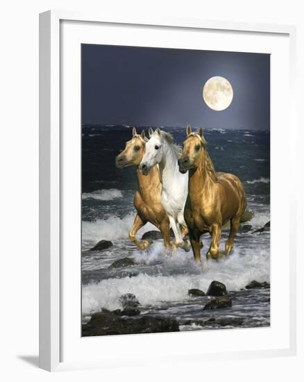 Dream Horses 068-Bob Langrish-Framed Photographic Print