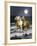 Dream Horses 068-Bob Langrish-Framed Photographic Print