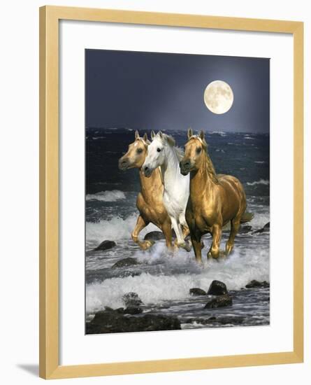 Dream Horses 068-Bob Langrish-Framed Photographic Print