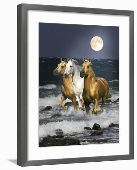 Dream Horses 068-Bob Langrish-Framed Photographic Print