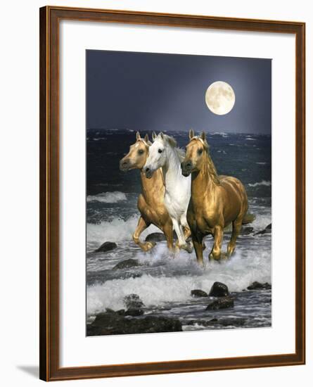 Dream Horses 068-Bob Langrish-Framed Photographic Print