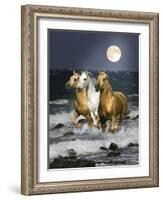 Dream Horses 068-Bob Langrish-Framed Photographic Print