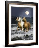 Dream Horses 068-Bob Langrish-Framed Photographic Print