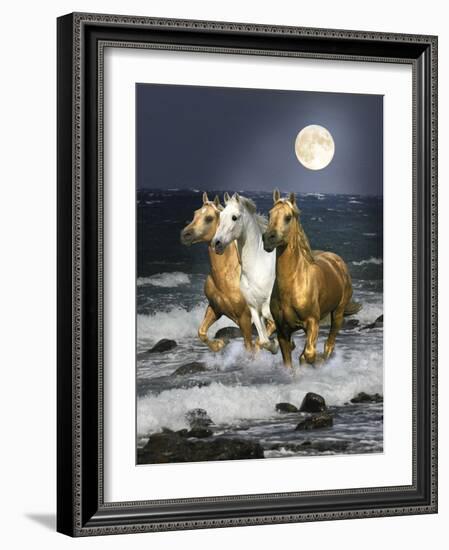 Dream Horses 068-Bob Langrish-Framed Photographic Print