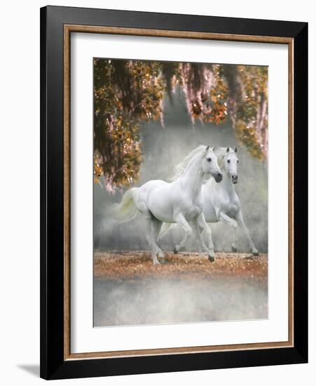 Dream Horses 072-Bob Langrish-Framed Photographic Print